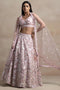 Liliana Baby Pink Net Thread & Sequins Embroidery Work Ready to Wear Lehenga Saree