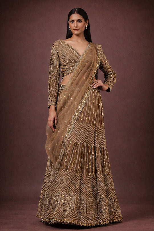 Tiana Taupe Net Sequin Embellished Ready To Wear Lehenga Saree