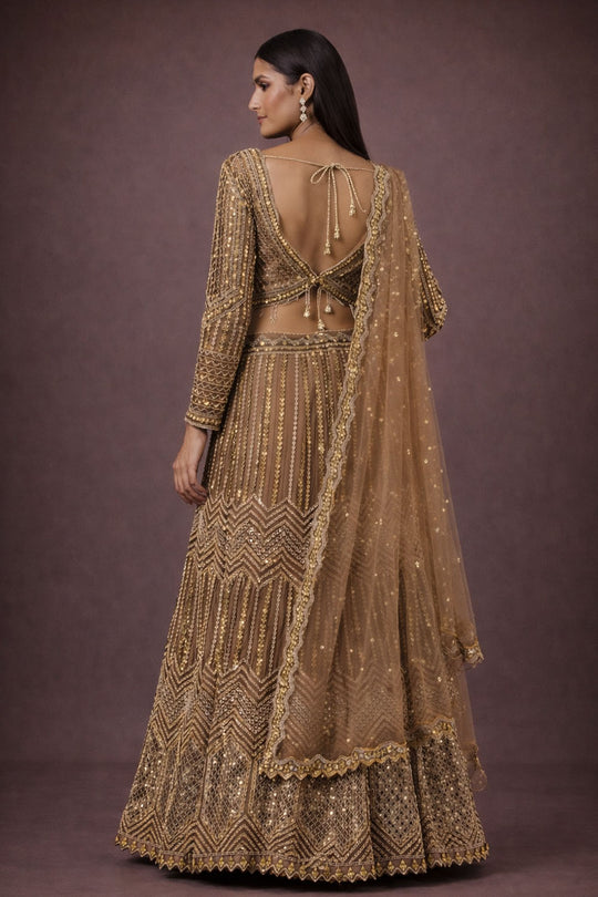 Tiana Taupe Net Sequin Embellished Ready To Wear Lehenga Saree
