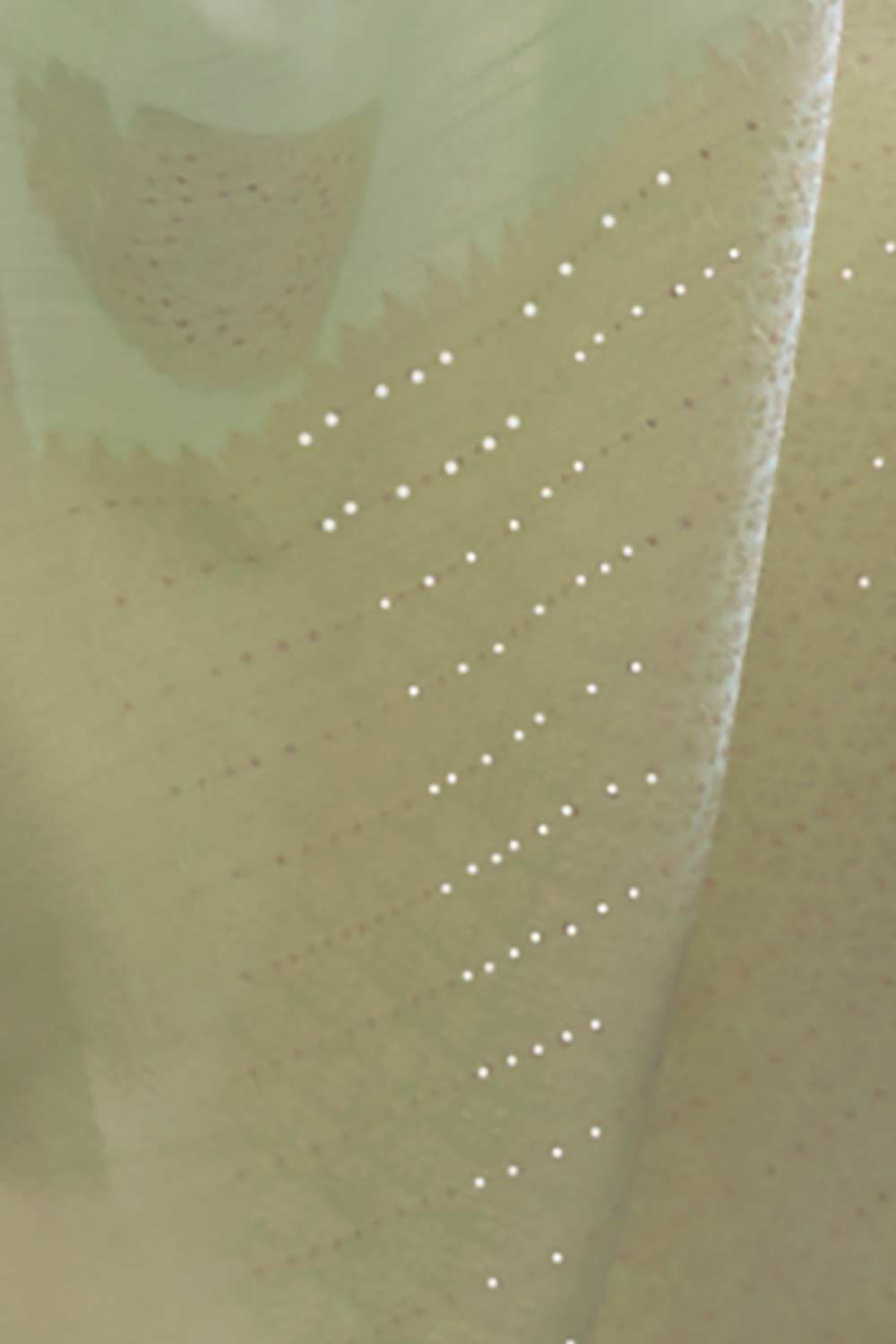 Nuri Green Silk Chikankari Ready to Wear One Minute Saree