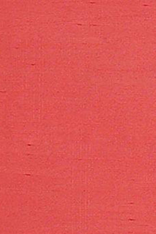 Indian Festive Wear Saree at Online Shop