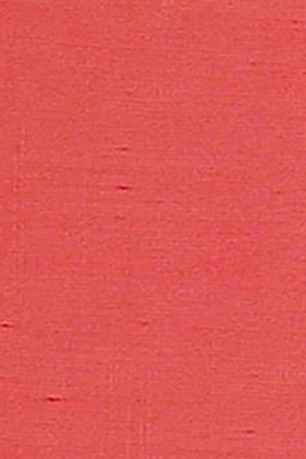 Indian Festive Wear Saree at Online Shop