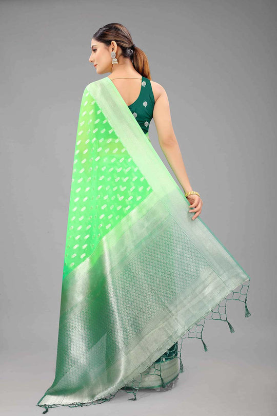 Buy Green Nylon Organza Ethnic Motifs Banarasi Saree Online - Front 